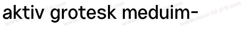 aktiv grotesk meduim字体转换